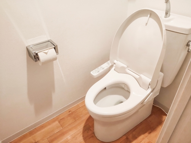ムカデをトイレに流すと這い上がってくる可能性はあるのか?