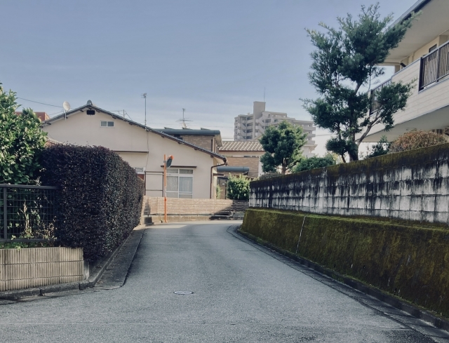 日当たりが悪い家でもできるダニ退治対策