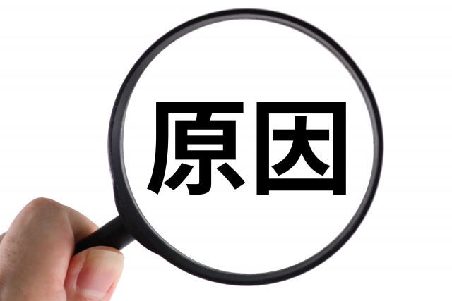東京にゴキブリが多い原因6つ