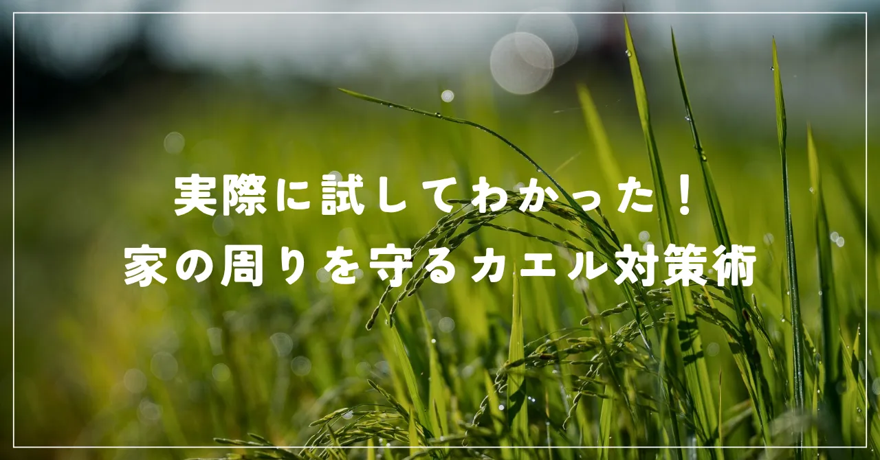実際に試してわかった！家の周りを守るカエル対策術と効果的な方法まとめ
