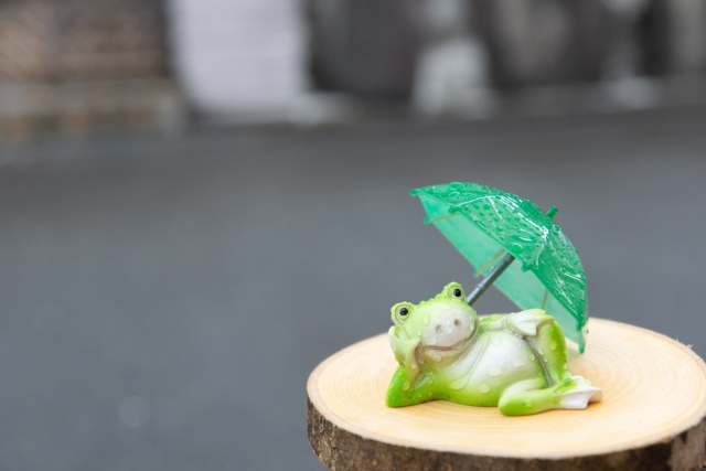 カエルが家の周りに集まる原因とは？