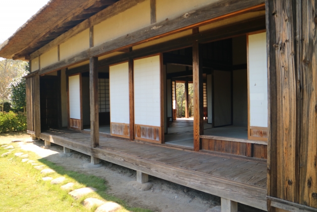 ムカデが繁殖しやすい環境と住み着きやすい家の特徴