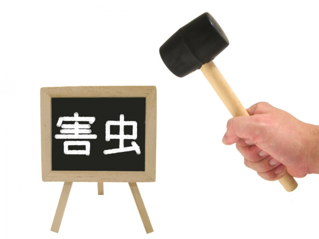 ブラックキャップが効かない場合の代替手段
