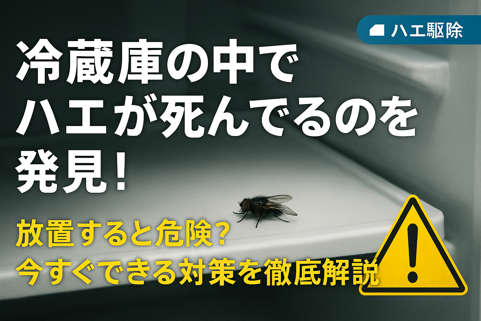 冷蔵庫の中でハエが死んでるのを発見！放置すると危険？今すぐできる対策を徹底解説